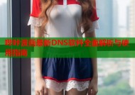 哔咔漫画最新DNS软件全面解析与使用指南