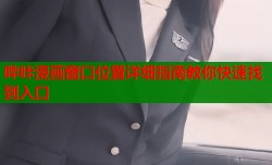哔咔漫画窗口位置详细指南教你快速找到入口