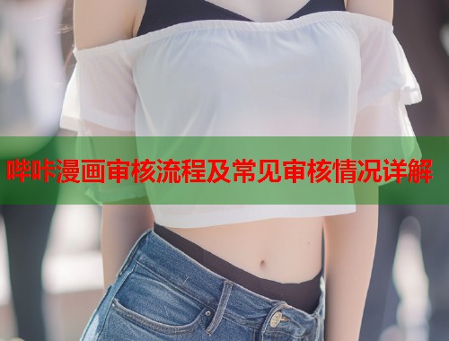 哔咔漫画审核流程及常见审核情况详解  第2张