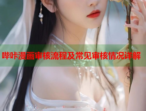 哔咔漫画审核流程及常见审核情况详解  第1张