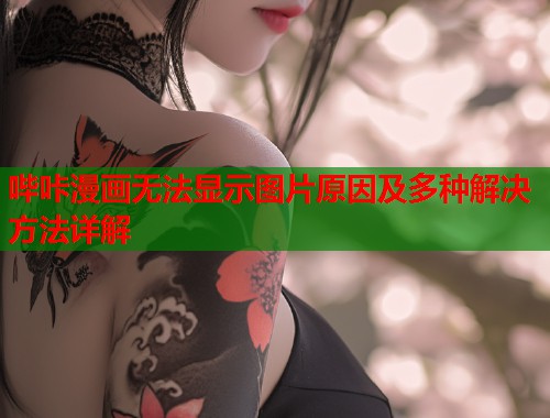 哔咔漫画无法显示图片原因及多种解决方法详解  第2张