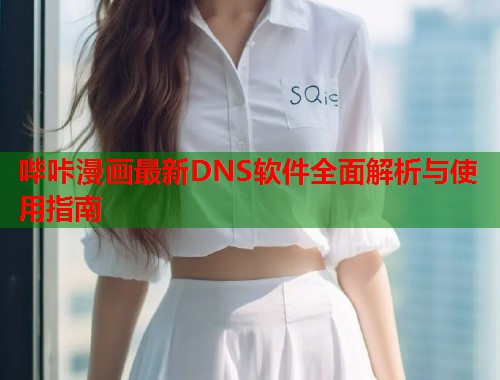 哔咔漫画最新DNS软件全面解析与使用指南  第2张