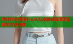 哔咔哔咔漫画PicACG注册失败原因及解决方法详解