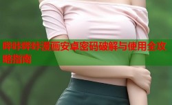 哔咔哔咔漫画安卓密码破解与使用全攻略指南